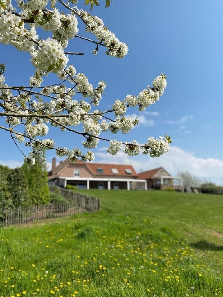 pasen daantjes hoeve